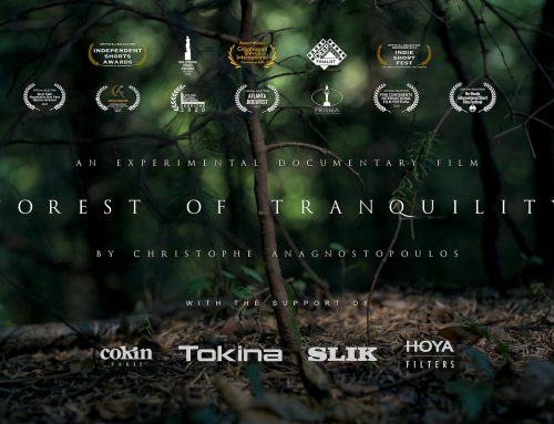 Best Cinematography Award for Forest of Tranquility