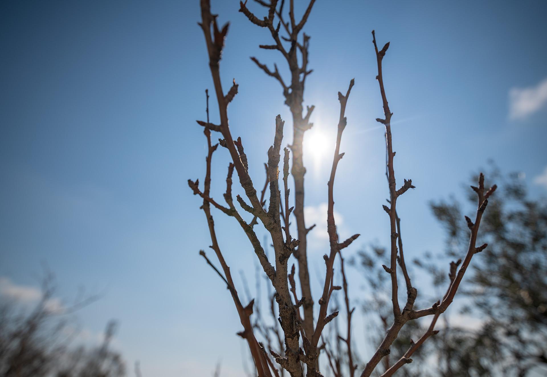 16mm @ F/2.8