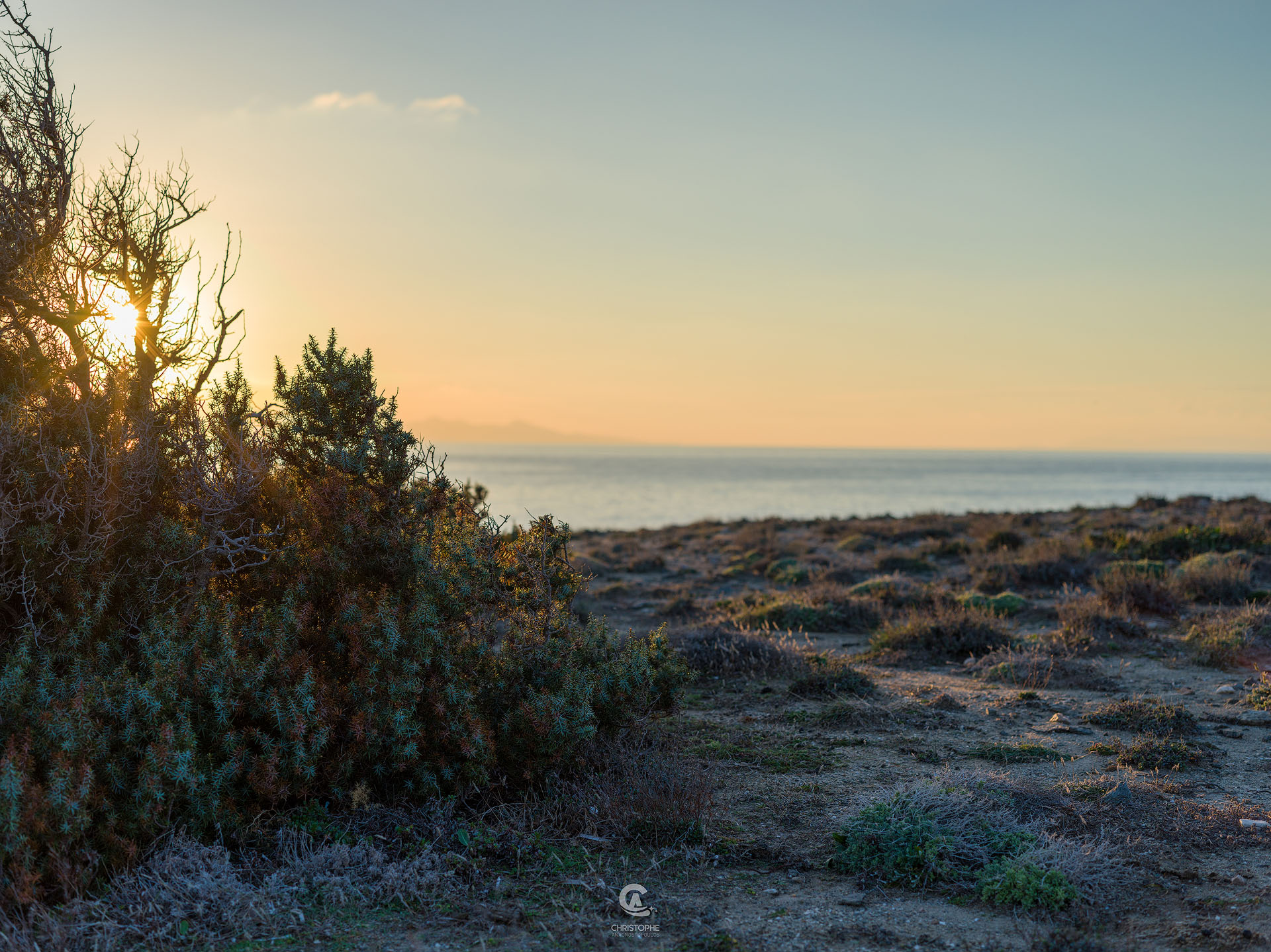 Auto LR Edits