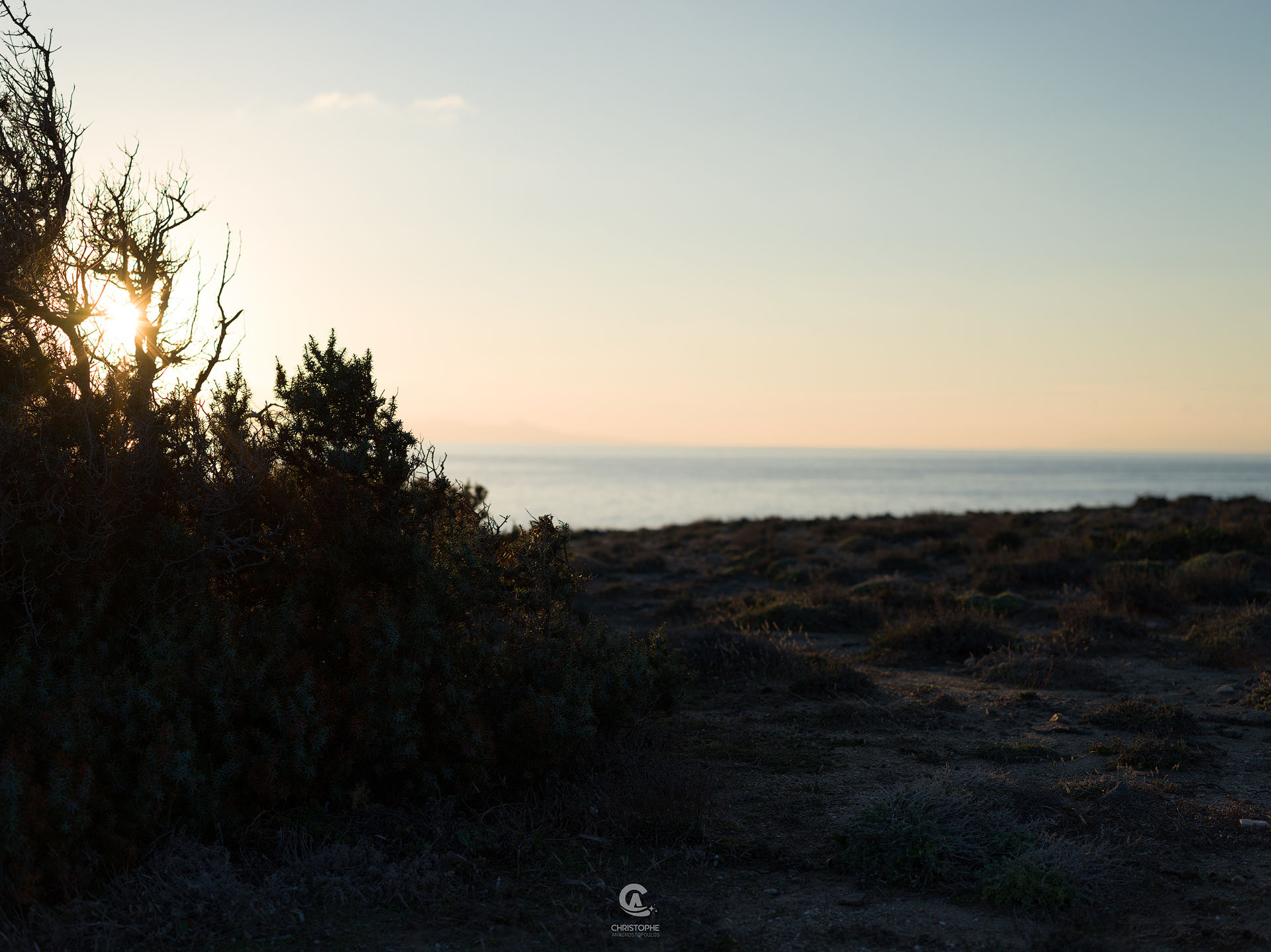 No Edits (SOOC)