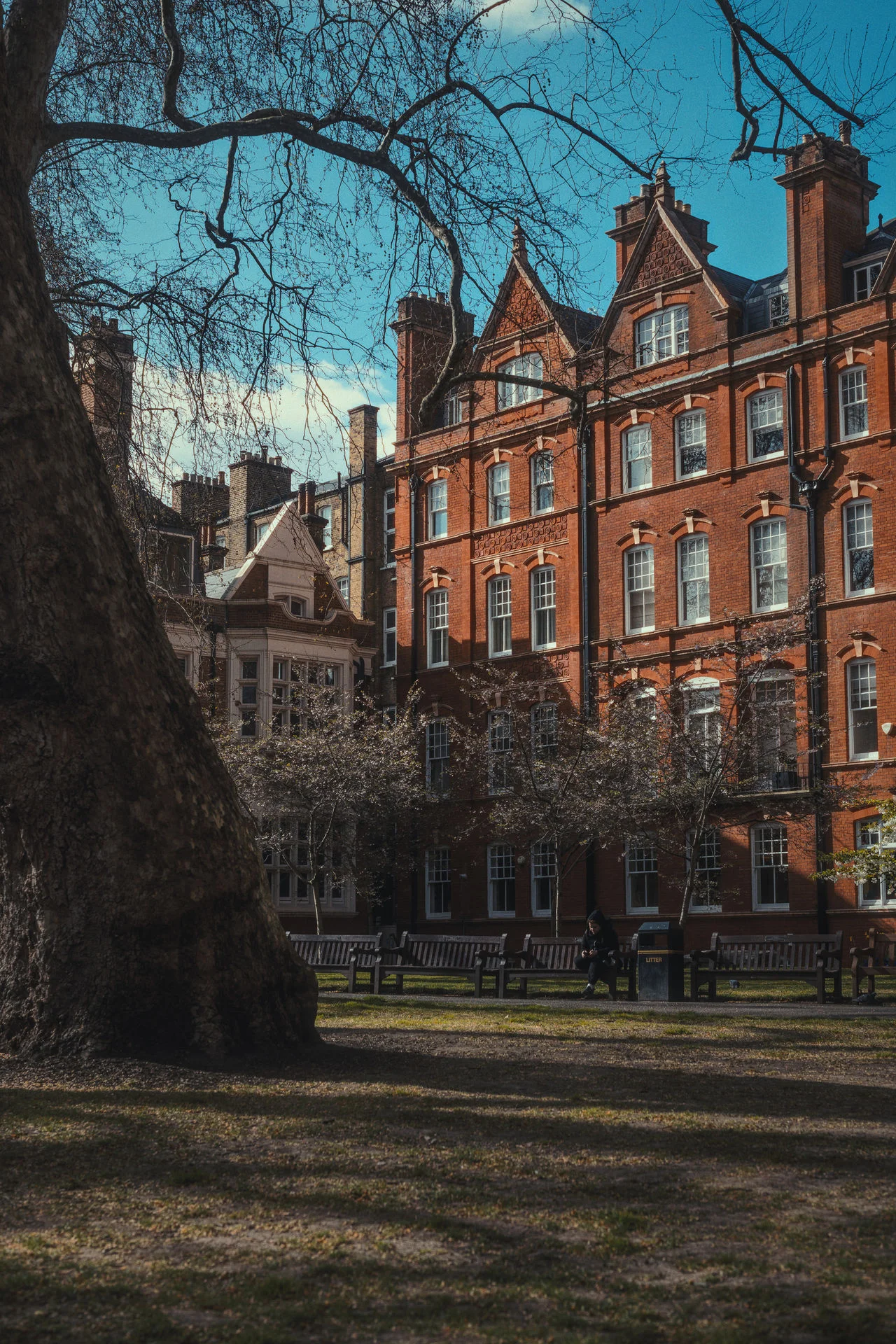 London_Marc26_078 London Private Photography Workshop March 2026 - Featured Image